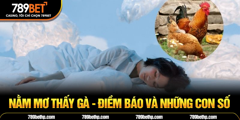 nằm mơ thấy gà 789bet
